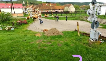 Ormenis - Ormeniș