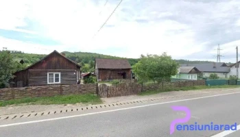 Paltinoasa - Păltinoasa 727415