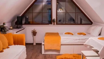 Pensiunea ABI’s Home - Ocna Mureș 515700