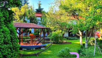 Pensiunea Agnes Cazare Viseu de Sus Maramures - Vișeu De Sus