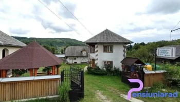Pensiunea Casa Ancuta - Poienile Izei