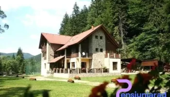 Pensiunea Denisa - Sălard