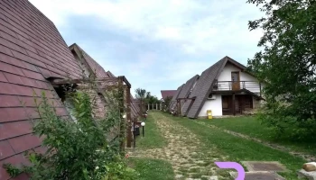 Pensiunea Floare Albastră - Ipotești