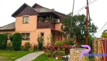 Pensiunea Florilor - Coltău
