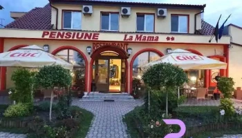 Pensiunea La Mama - Calea Borșului