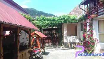 Pensiunea Razvan Gura Raului - Gura Râului
