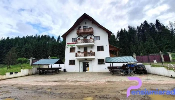 Pensiunea Trei Braduti - Brodina De Jos