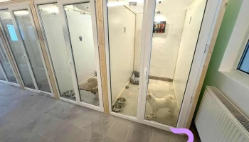 petfriendshotel - Ciorogârla 077055