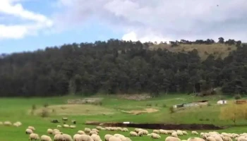 Petreștii de Jos - Petreștii De Jos