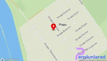 Plopu - Plopu