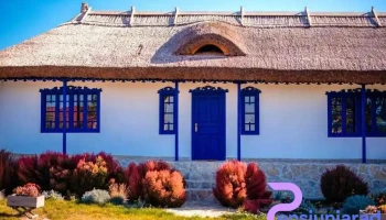 Portița Spre Deltă - Vişina 827117