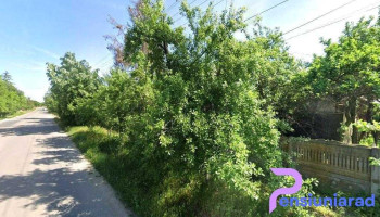Primăria Ciolănești - Ciolăneștii Din Deal