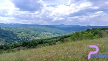 Primăria Gura Caliței - Gura Caliței