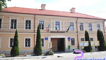 Primăria Hălchiu - Hălchiu