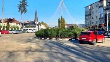 Primăria Jibou - Jibou
