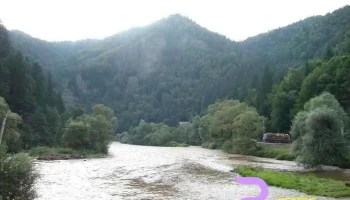 Primăria Lunca Bradului - Lunca Bradului