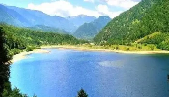 Primăria Mălaia - Mălaia