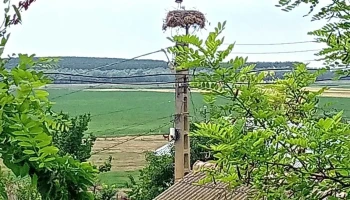 Primăria Ostrov - Ostrov