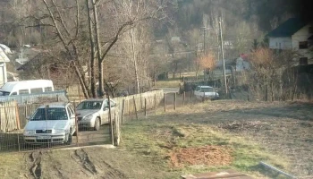 Primăria Surani - 231