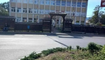 Primăria Târgu Lăpuș - Târgu Lăpuș