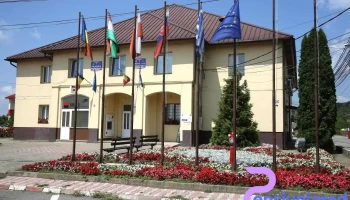 Primăria Tăuții-Măgherăuș - Tăuții-Măgherăuș