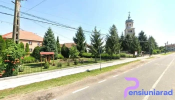 Primăria Urziceni - Urziceni
