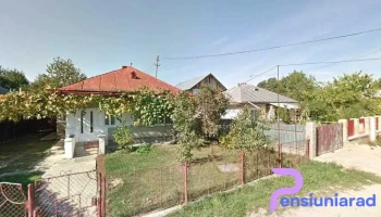 Ratusca Salbatica - Fălticeni 725200