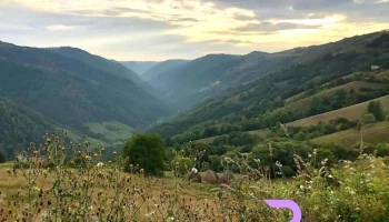 Răcătău - Măguri-Răcătău