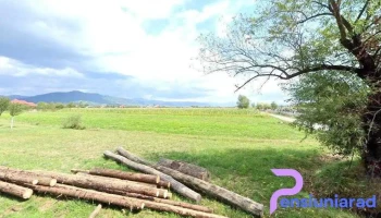 Sat sasar - Săsar