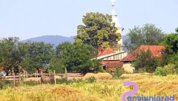 Stârciu - Stârciu