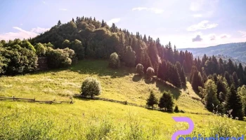 Staţiunea Muntele Băişorii - Staţiunea Muntele Băişorii