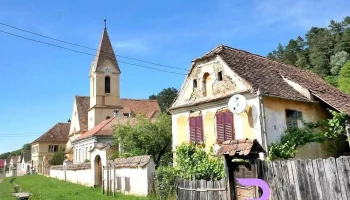 Stejărenii - Stejărenii