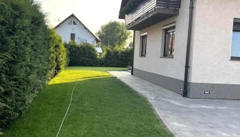 Terebint - Rădăuți 725400