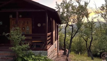The Orchard Cabin - Predeal 107460
