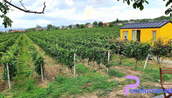 Tiny House in the wineyard by Gramofon - Mocești