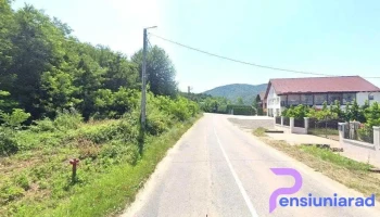 Tomi Alex - Călinești-Oaș