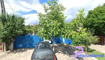 Videle - Videle 145300