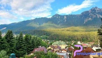 Vila Barlogul Ursului - Bușteni 105500