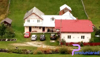 Viorica - Ciocănești 727120
