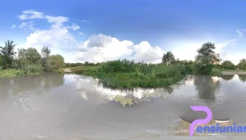 Vlăsceni - Vlăsceni