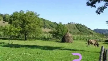 Vrâncioaia - Vrâncioaia