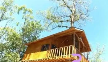 Vădul Lupilor - Moisei