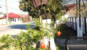 Zătrenii de Sus - Zătrenii De Sus