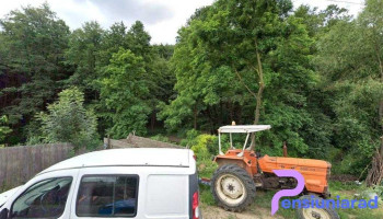 În Poiană - Fulgeriș