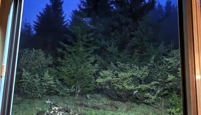 Aa Frame Retreat Fundata -  Instagram - Brașov