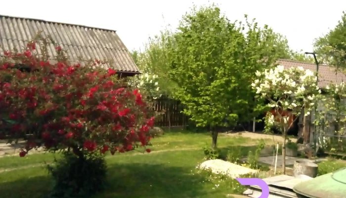 Acasa la Coana Chiva - România