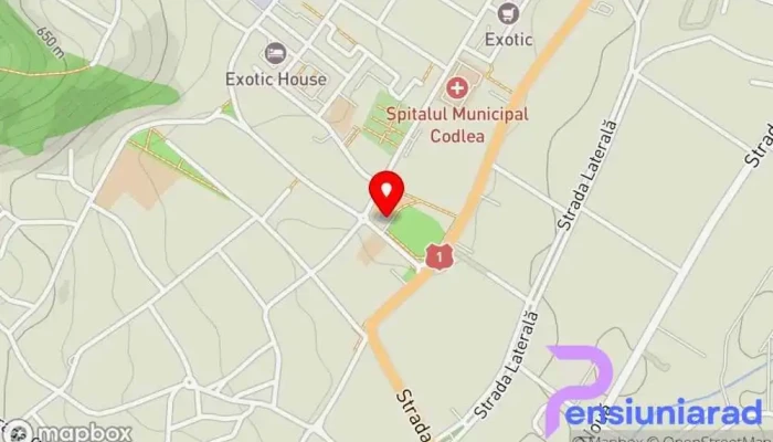 Arte Restaurant -  Hartă - Codlea