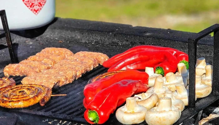 Barbeque Sendreni -  Site Web - E87