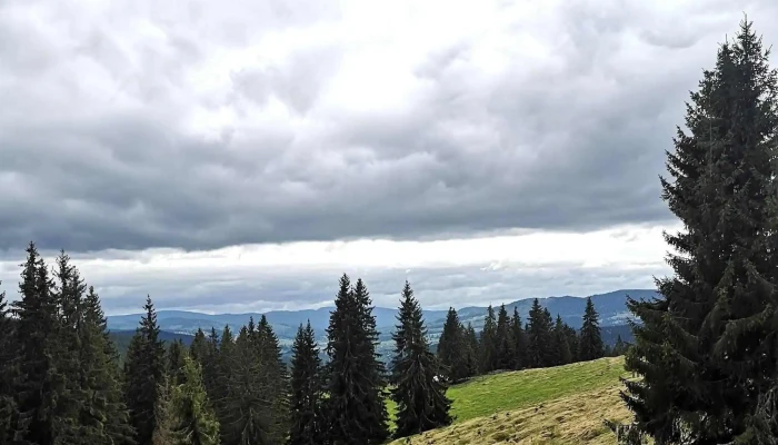 Bilbor Chalet -  Fotografii - Răchitiş