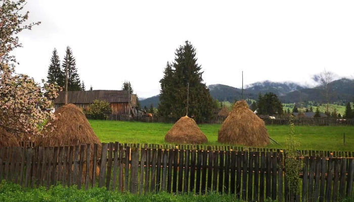 Bilbor Chalet -  Număr - Răchitiş